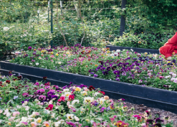 Discover Chelsea Astrid: (Her Life, Career and Top Stories)