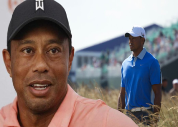 Whats Elin Nordegrens Net Worth? Find Out Her Fortune!