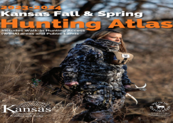 Nail of the Ape Star Rail: Use This Trick for the hunt!