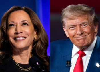 How much money does he have? A closer look at the factors influencing Samoa Joe net worth.