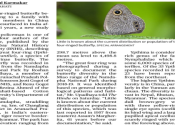 Lets try to chase the butterflies into the medicine jar: is it a fun activity or something else?