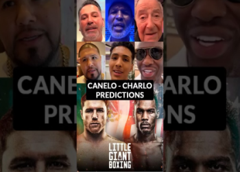 What sections offer good views with Canelo Alvarez vs Charlo tickets? Choose the perfect seat with our expert advice.