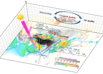 Collette Foley Latest News: Updates and Insights Revealed Here