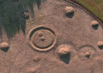 Understanding Barrows Expectations: A Quick and Easy Overview