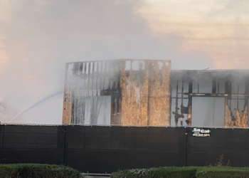 Exploring Raul Rosas Net Worth: The Rising Stars Financial Journey.