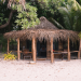 Discover tonga fifita: A Beginners Guide for fast learn!
