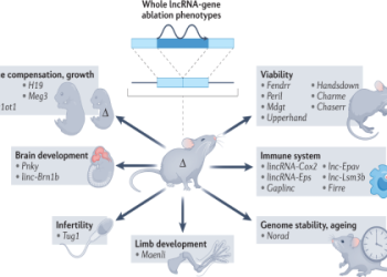 Discover Ping Yi Chen: The Easy Guide for Beginners