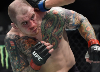 What does the Conor McGregor who is that guy gif mean? Understand the context!