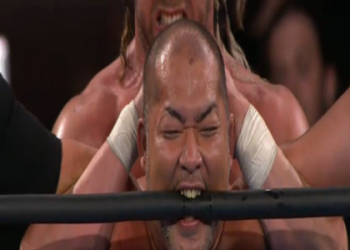 Average TNA Salary: What to Know About Wrestling Pay?