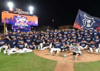 Track Your Davids Tiger Express Package Easily Now!