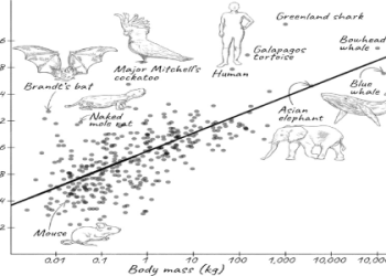 Curious about the real Ian Baker Finch net worth figure? Discover how much the Open champion has accumulated.