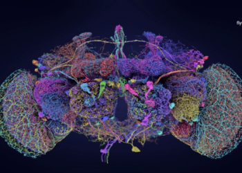 Solving the tricky set of rounds nyt crossword? This guide makes finding that exact answer very simple.