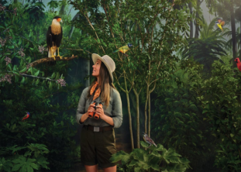 What is the current Cam Wilder net worth? A simple guide to his earnings and estimated wealth.