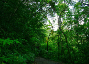 Meet Mikell Burke: Brentwood Calis Trusted Real Estate Pro