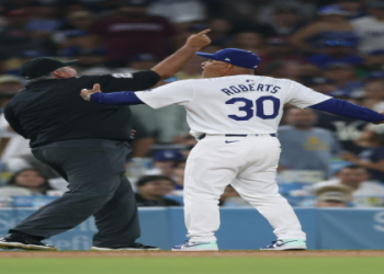 Marvin Hudson Umpire: Rules and interesting facts!